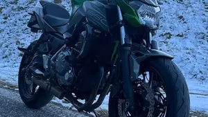 Kawasaki Z 650 (2017 - 19)  (3)