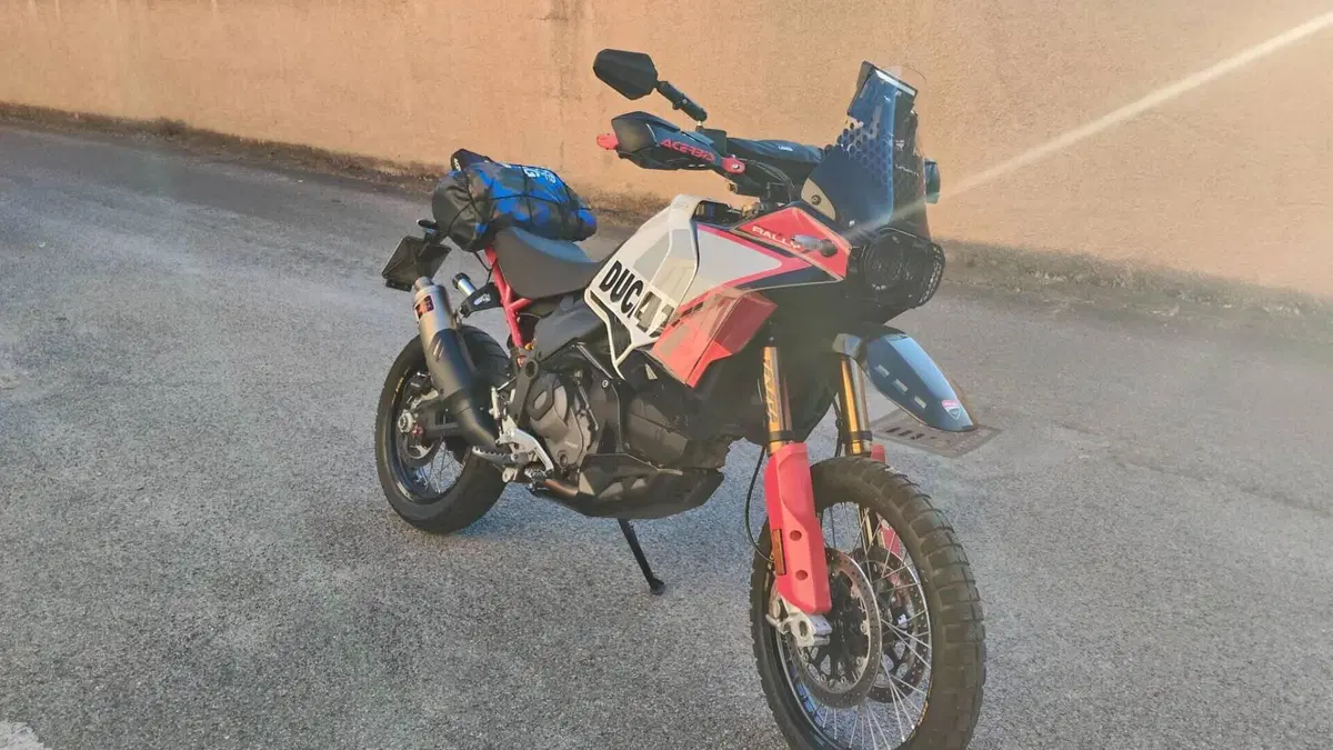 Ducati DesertX Rally (2024 - 25)  (4)