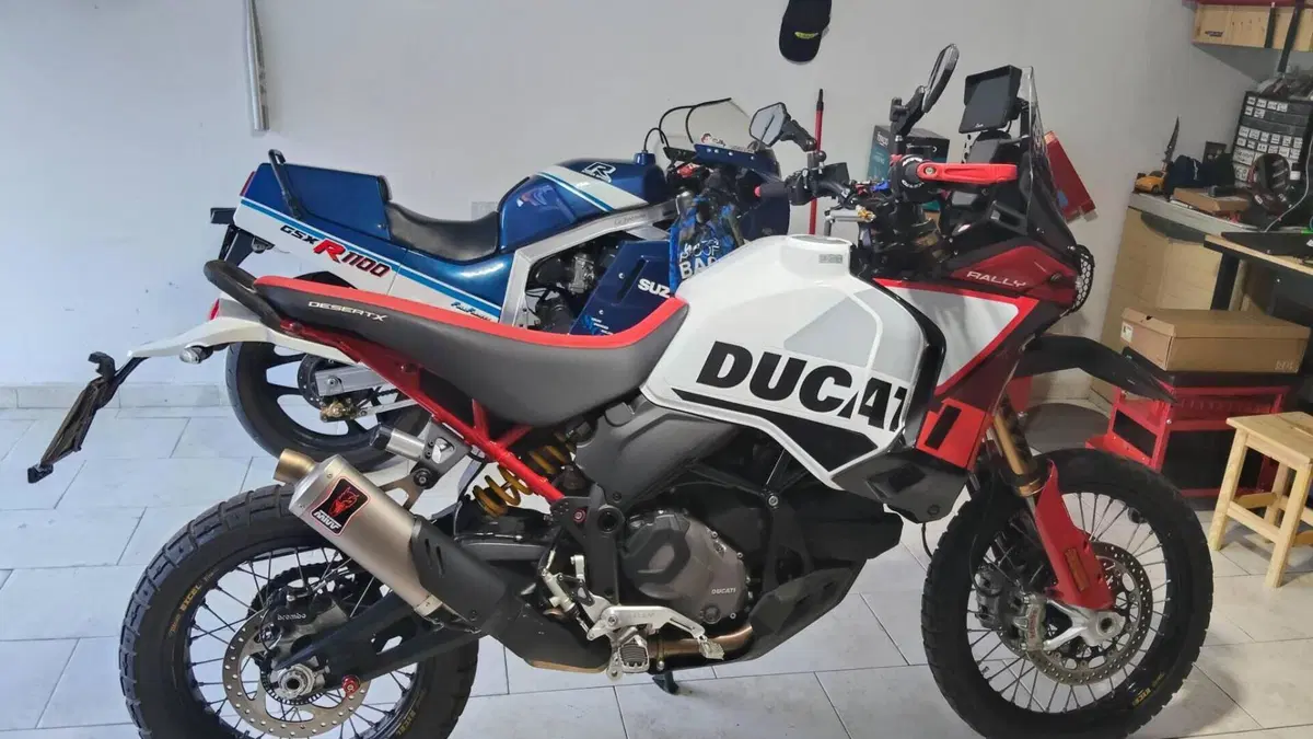 Ducati DesertX Rally (2024 - 25)  (5)