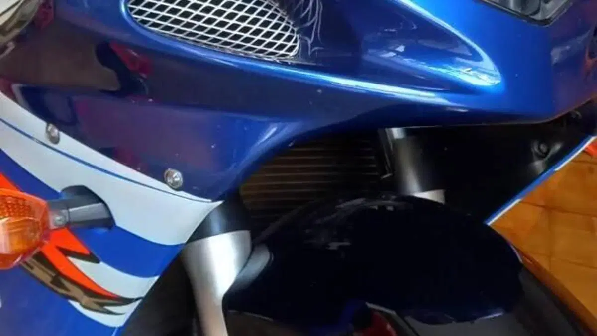 Suzuki GSX R 600 (2001 - 03)  (7)