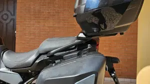 Yamaha Tracer 9 GT+ (2023 - 24)  (6)