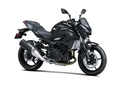 Kawasaki Z 500 (2024 - 26) - Annuncio 10064585