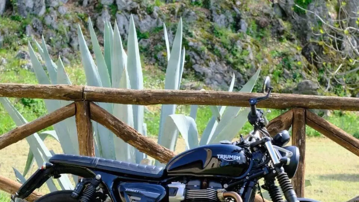 Triumph Street Twin 900 (2021 - 22)  (3)
