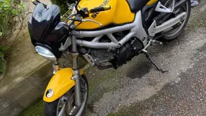 Suzuki SV 650 (1999 - 02)  (2)