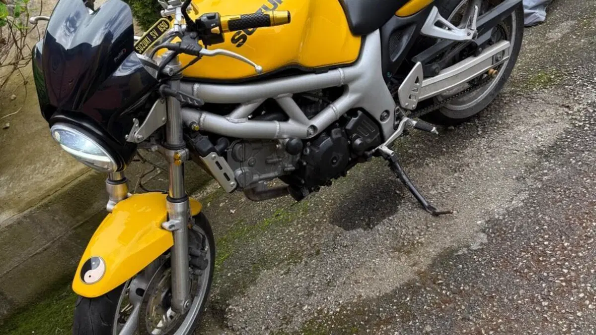 Suzuki SV 650 (1999 - 02)  (4)