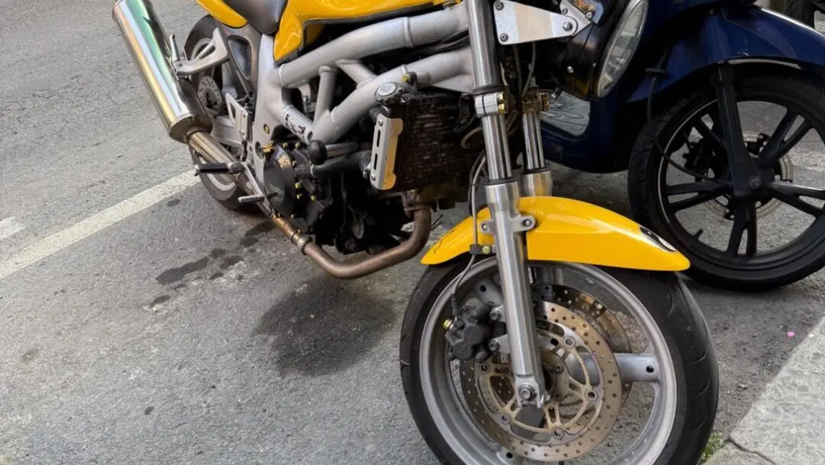 Suzuki SV 650 (1999 - 02)  (5)