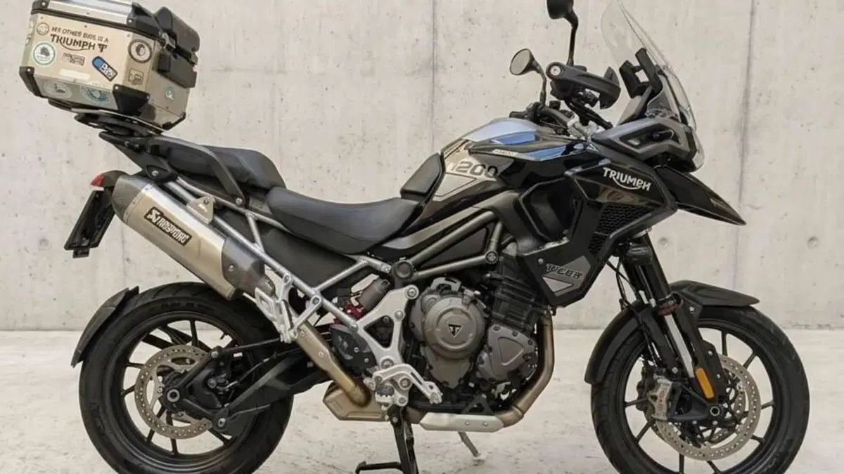 Triumph Tiger 1200 GT Pro (2024 - 26)  (5)