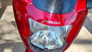 Honda   (13)