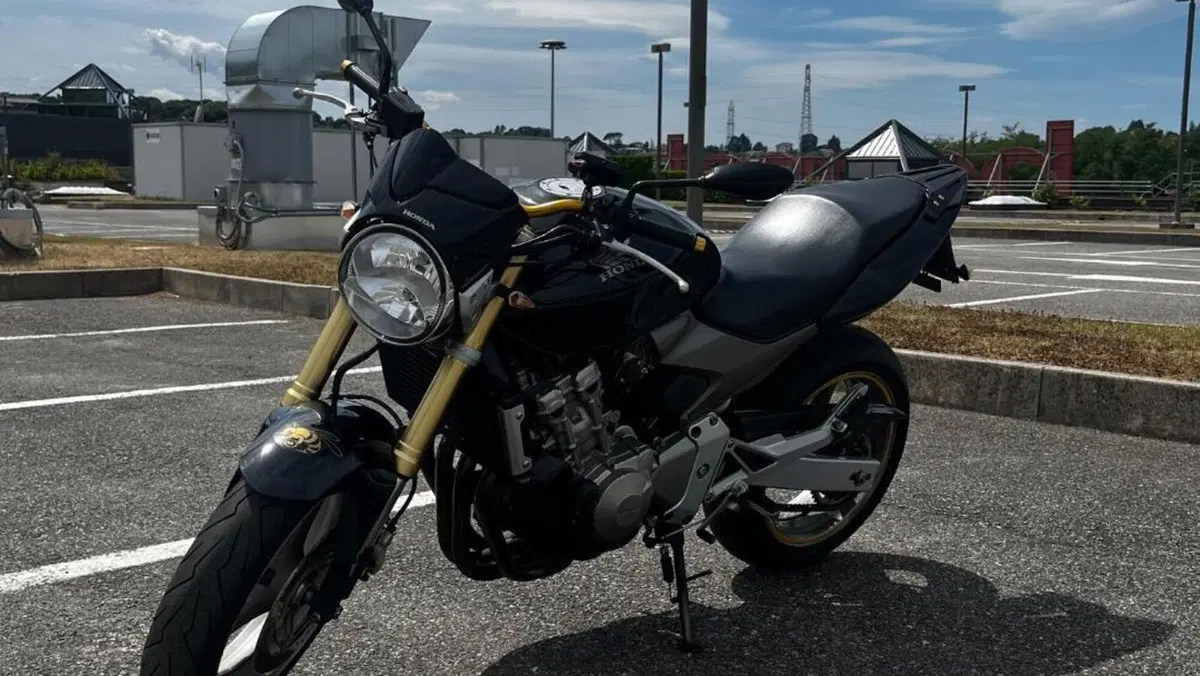 Honda Hornet 600 (2005 - 06)  (2)