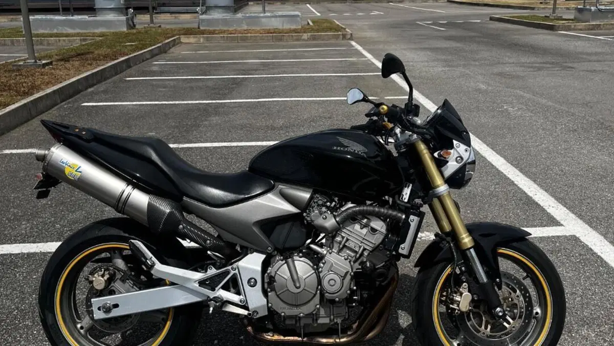Honda Hornet 600 (2005 - 06)  (3)