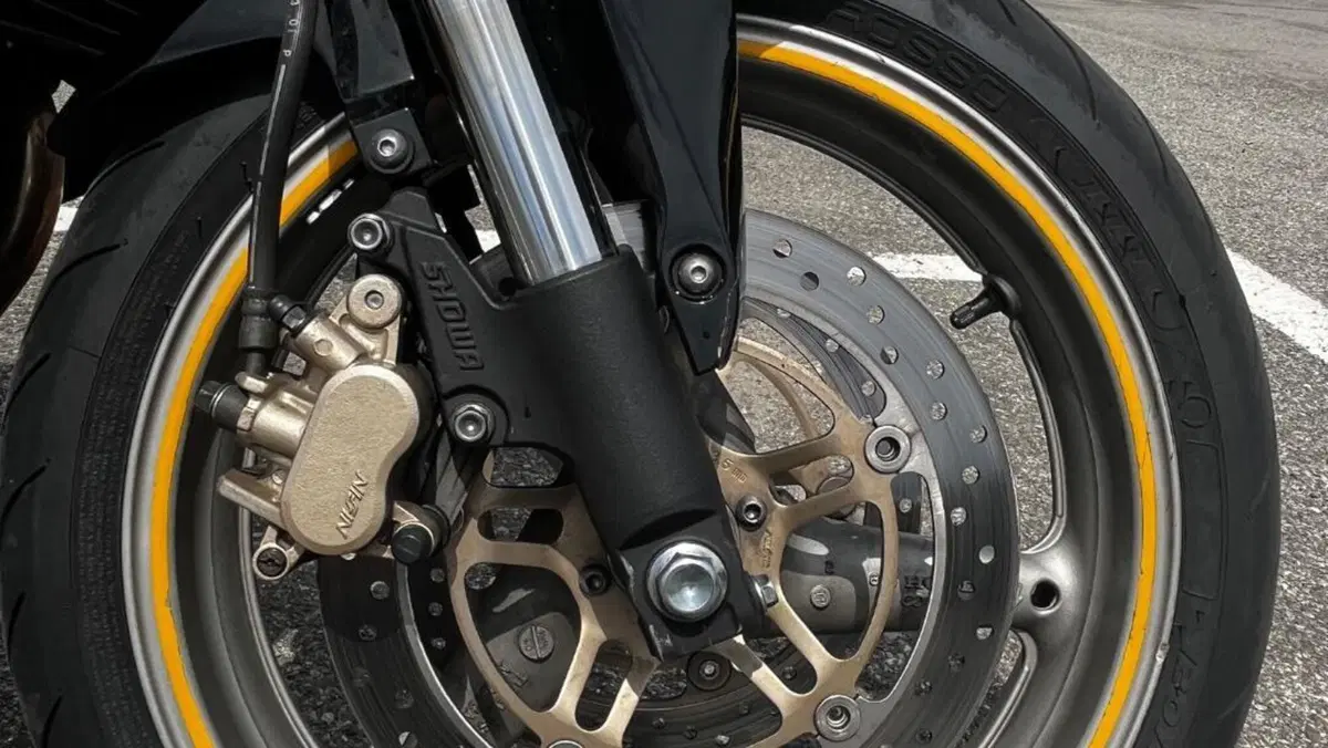 Honda Hornet 600 (2005 - 06)  (4)