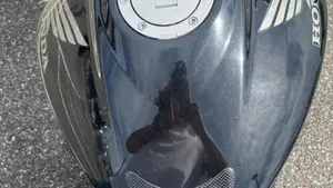 Honda Hornet 600 (2005 - 06)  (7)