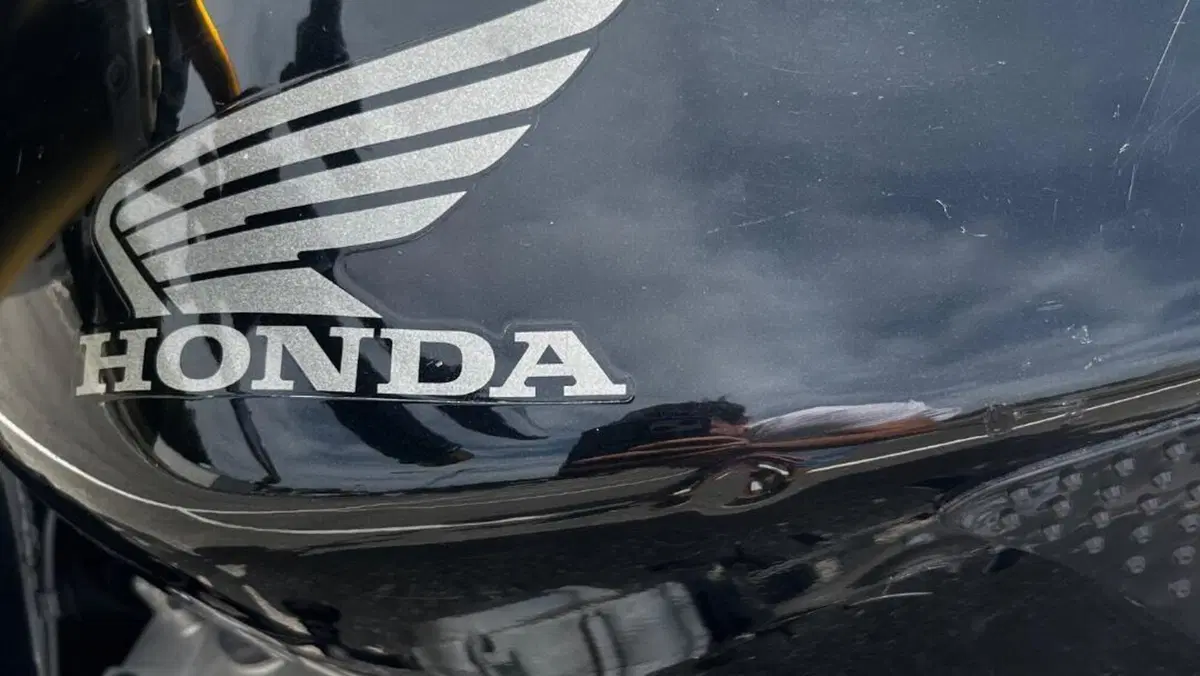 Honda Hornet 600 (2005 - 06)  (8)