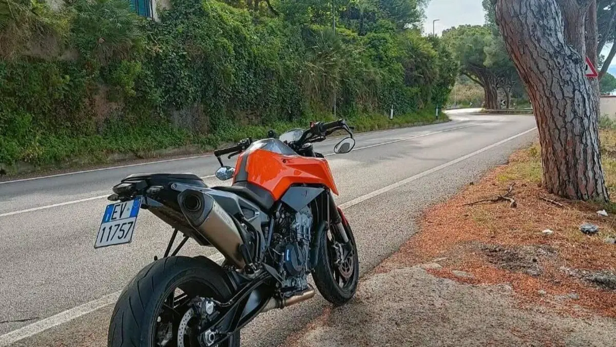 KTM 790 Duke (2018 - 20)  (3)