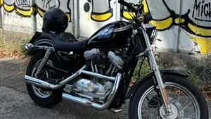 Harley-Davidson 883 Standard (2001 - 05) - XL 883 