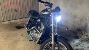 Harley-Davidson 883 Standard (2001 - 05) - XL 883  (2)