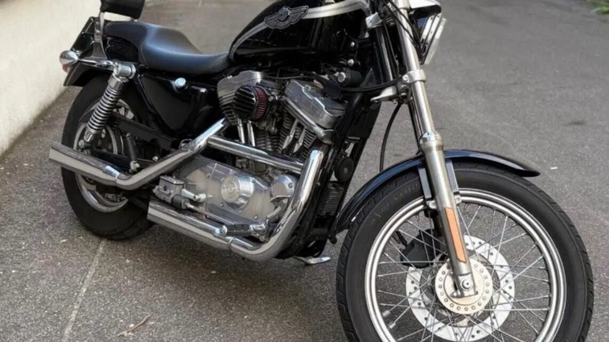Harley-Davidson 883 Standard (2001 - 05) - XL 883  (3)