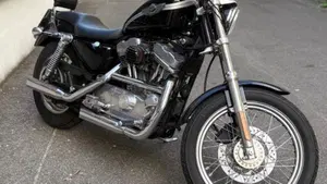 Harley-Davidson 883 Standard (2001 - 05) - XL 883  (3)