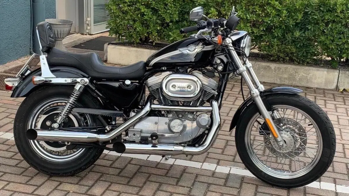 Harley-Davidson 883 Standard (2001 - 05) - XL 883  (4)