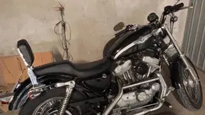 Harley-Davidson 883 Standard (2001 - 05) - XL 883  (5)