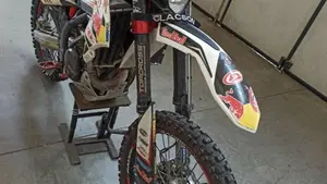 Betamotor RR 400 4T Enduro (2010)  (5)