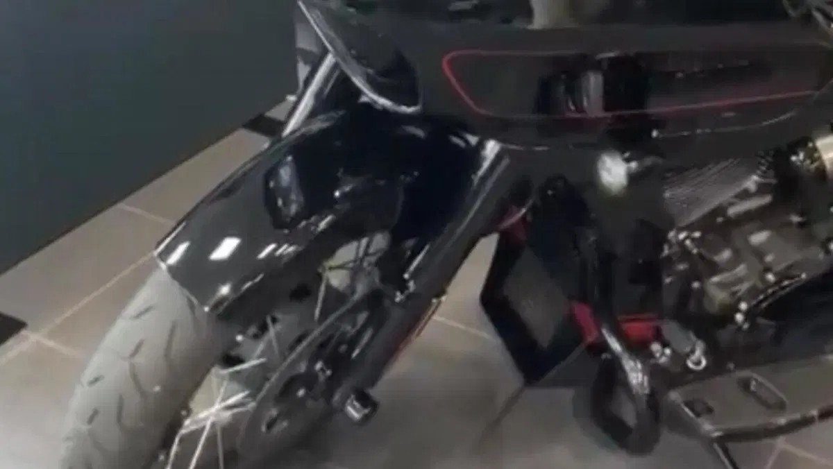Harley-Davidson 117 Road Glide (2021)  (5)