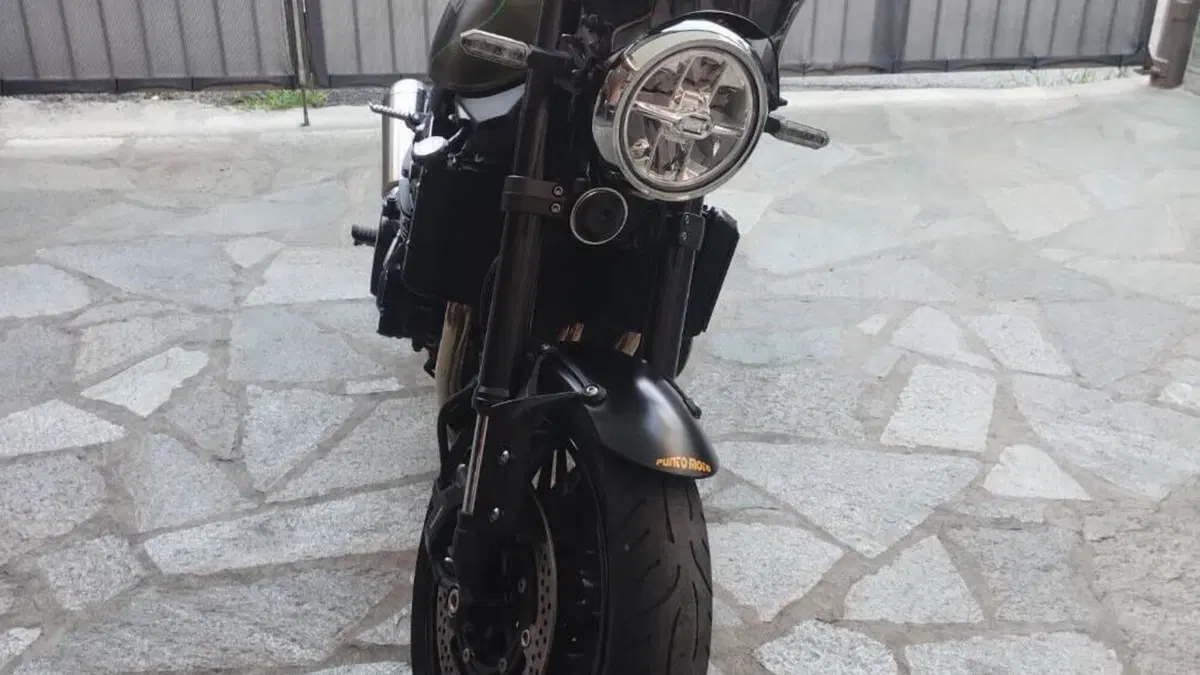 Kawasaki Z 900 RS (2018 - 20)  (6)