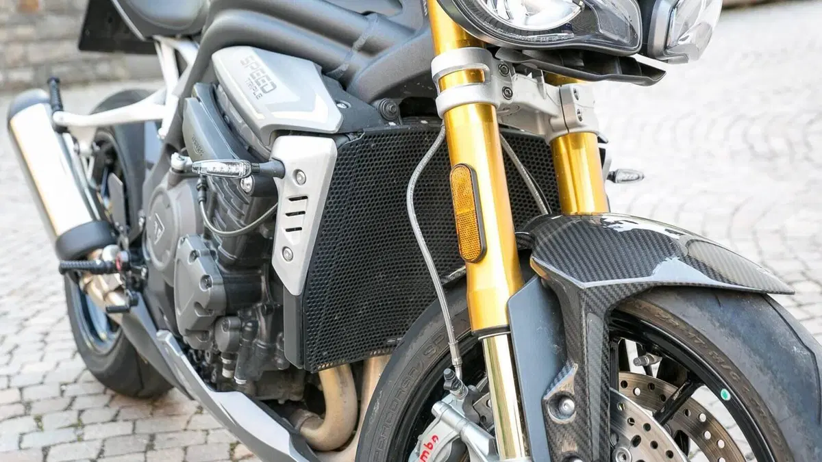 Triumph Speed Triple 1200 RS (2021 - 24)  (6)
