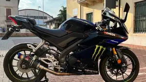 Yamaha YZF R125 (2019 - 20)  (3)