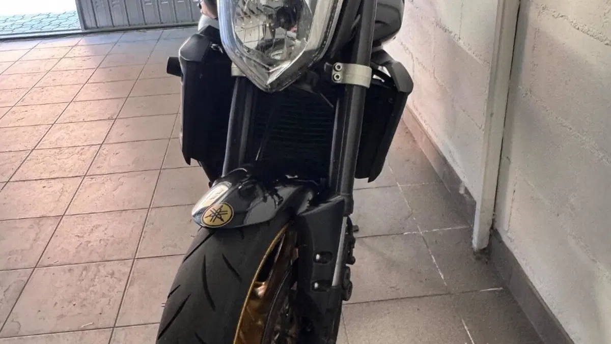 Yamaha FZ1 (2006 - 16)  (5)