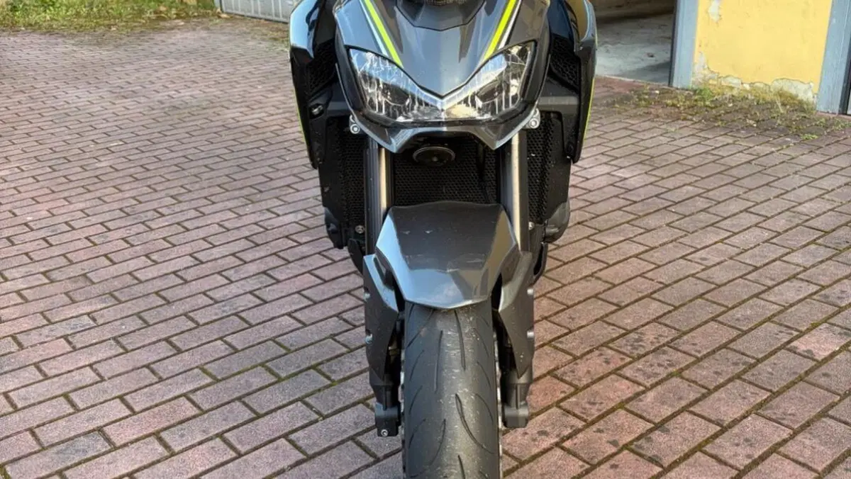 Kawasaki Z 900 (2017 - 18)  (9)