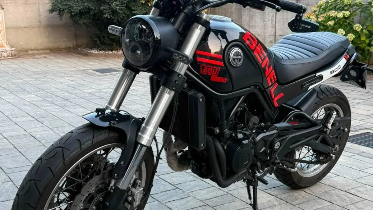 Benelli Leoncino 500 Trail (2021 - 26)  (3)
