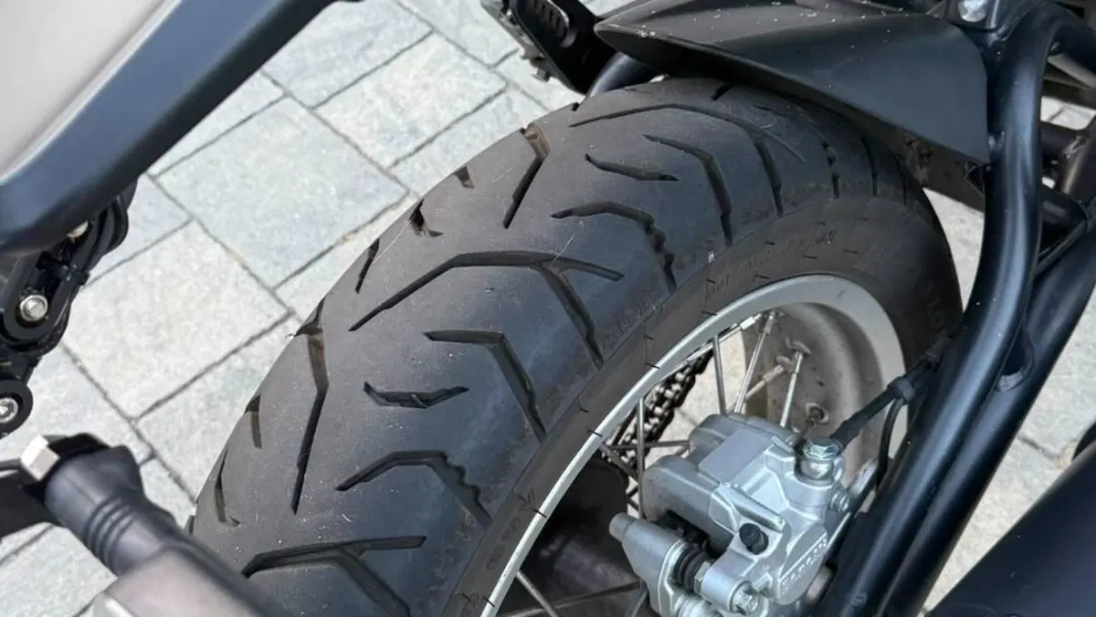 Benelli Leoncino 500 Trail (2021 - 26)  (5)