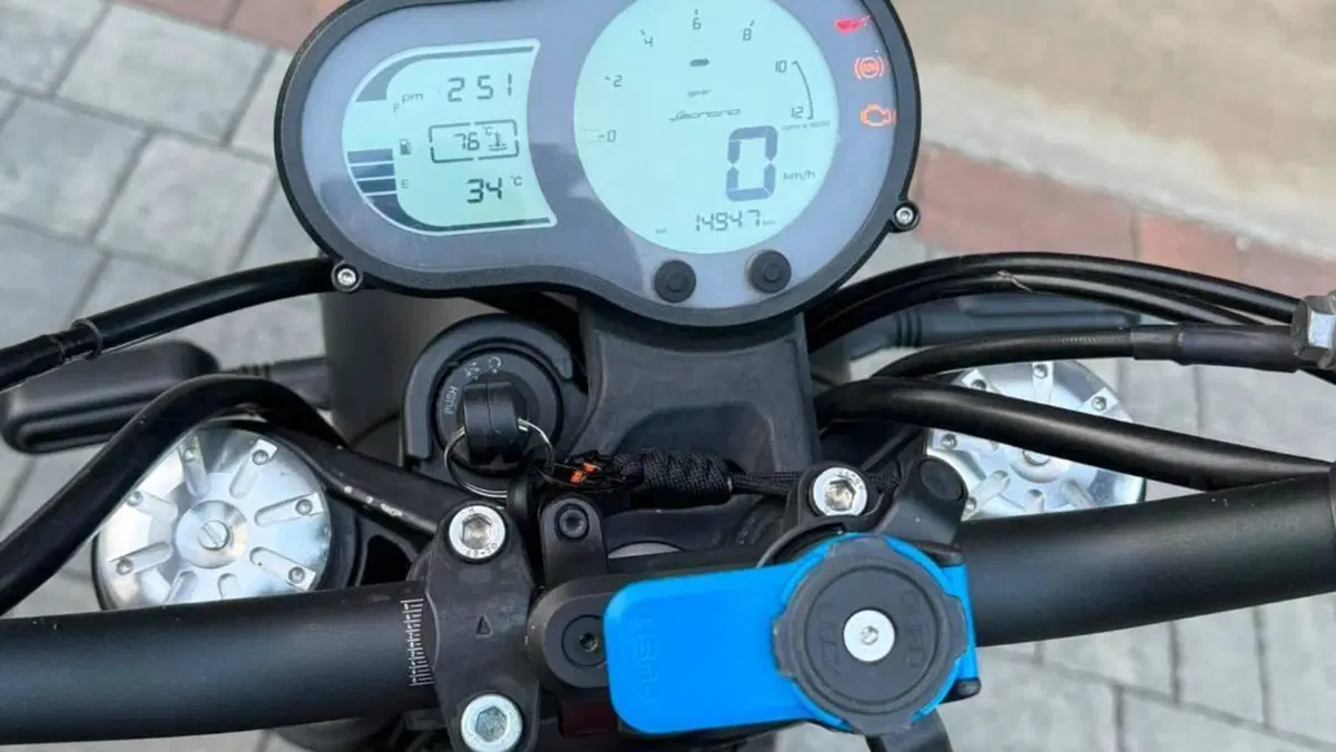 Benelli Leoncino 500 Trail (2021 - 26)  (6)