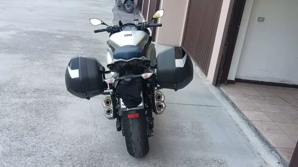 Kawasaki Z 1000 SX (2017 - 20)  (2)