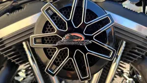 Harley-Davidson XL 1200 CX Roadster (2016 - 18)  (4)