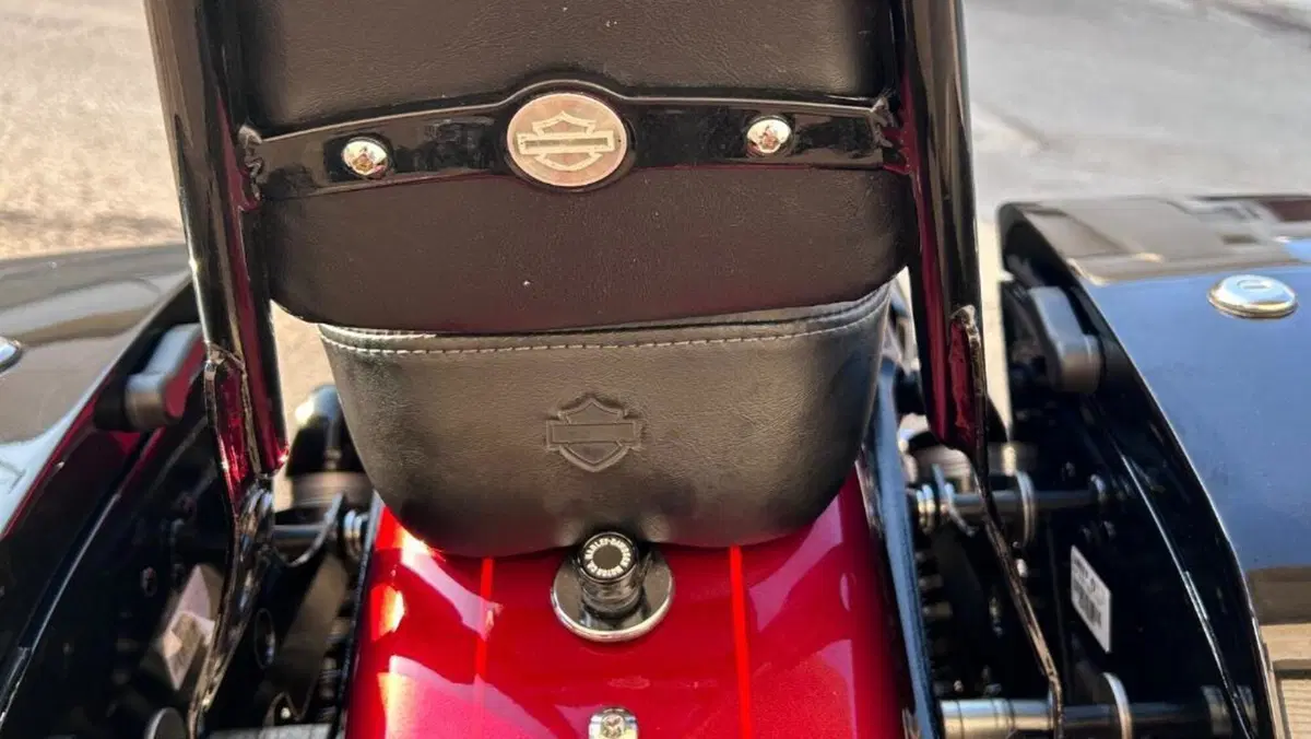 Harley-Davidson XL 1200 CX Roadster (2016 - 18)  (9)
