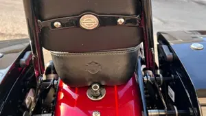 Harley-Davidson XL 1200 CX Roadster (2016 - 18)  (9)