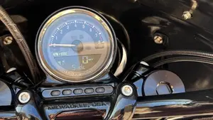 Harley-Davidson XL 1200 CX Roadster (2016 - 18)  (10)