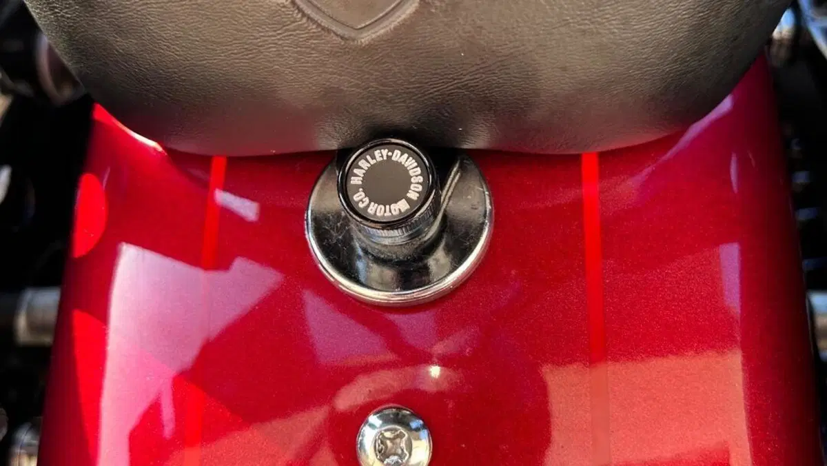 Harley-Davidson XL 1200 CX Roadster (2016 - 18)  (12)