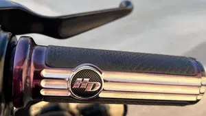 Harley-Davidson XL 1200 CX Roadster (2016 - 18)  (14)