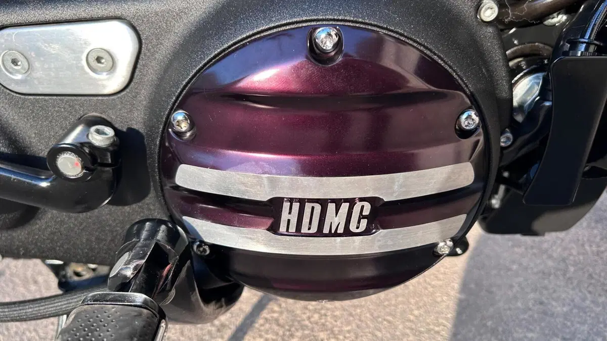Harley-Davidson XL 1200 CX Roadster (2016 - 18)  (15)