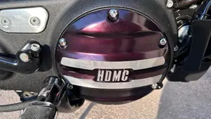 Harley-Davidson XL 1200 CX Roadster (2016 - 18)  (15)