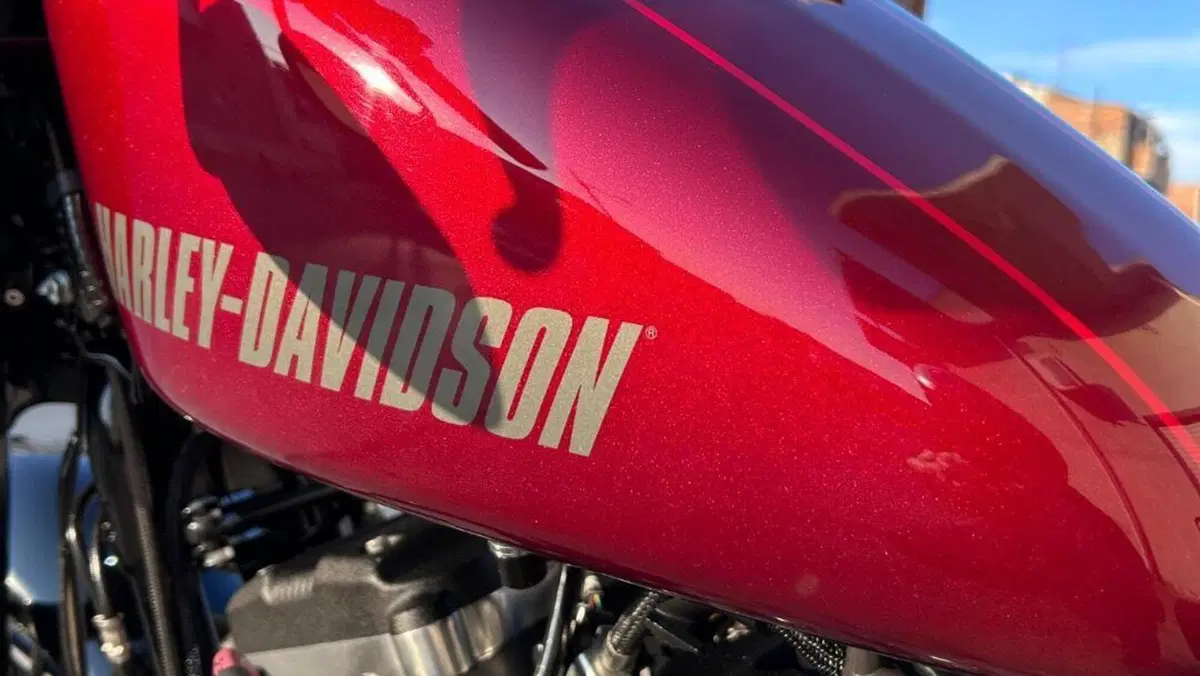 Harley-Davidson XL 1200 CX Roadster (2016 - 18)  (17)