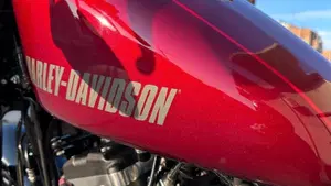 Harley-Davidson XL 1200 CX Roadster (2016 - 18)  (17)