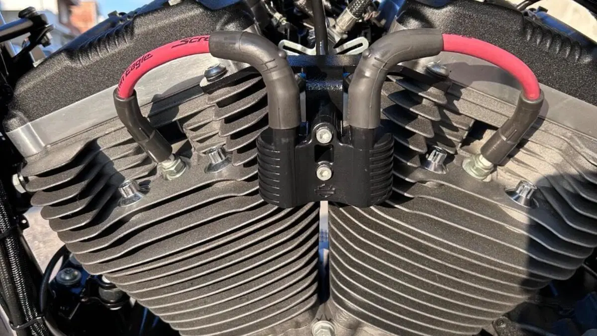 Harley-Davidson XL 1200 CX Roadster (2016 - 18)  (20)