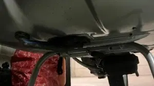 Piaggio   (4)