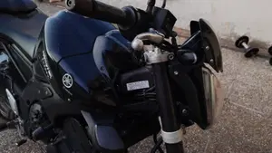 Yamaha FZ1 (2006 - 16)  (7)