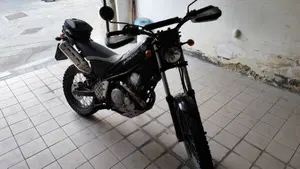Yamaha Tricker  (2)
