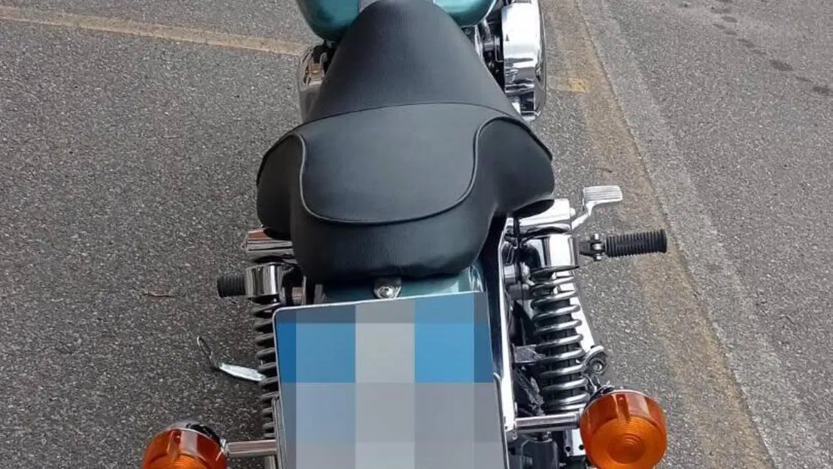 Harley-Davidson 1340 Super Glide (1994 - 99) - FXD  (16)